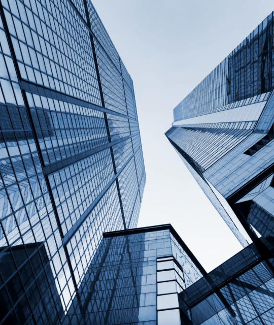 Paloy Consulting (5)